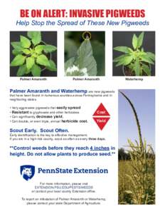 BE ON ALERT: INVASIVE PIGWEEDS  Help Stop the Spread of These New Pigweeds Palmer Amaranth