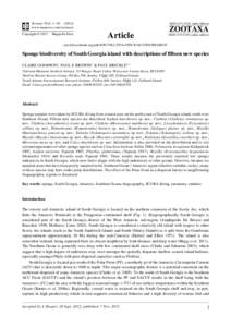 Sponge biodiversity of South Georgia island with descriptions of fifteen new species