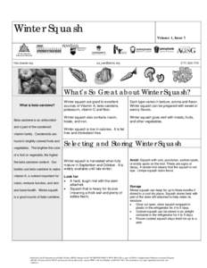 Microsoft Word - wintersquash_newsletter_bl_wh.doc