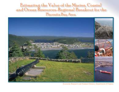 Estimating the Value of the Marine, Coastal and Oceans Resources - Regional Breakout for the Placentia Bay Area