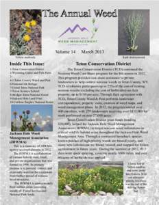 Volume 14  March 2013 Yellow starthistle