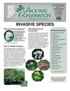 Invasive plant species / Dipsacales / Shrubs / Flora of China / Lonicera / Invasive species / Diervilla / Alliaria petiolata / Rosa multiflora / Eudicots / Environment / Biology