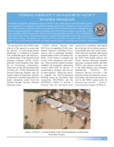 FEDERAL EMERGENCY MANAGEMENT AGENCY WEATHER PROGRAMS The Federal Emergency Management Agency (FEMA) is the central agency within the federal government responsible for emergency preparedness training and exercises, mitig