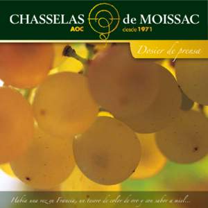 CHASSELAS  de MOISSAC Dosier de prensa  Había una vez en Francia, un tesoro de color de oro y con sabor a miel…