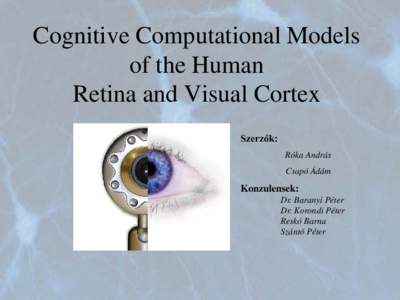 Cognitive Computational Models of the Human Retina and Visual Cortex Róka András Csapó Ádám