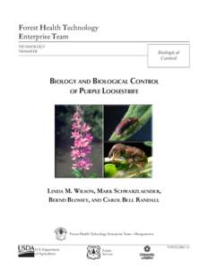 Biology and Biological Control of Purple Loosestrife