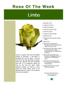 Rose Of The Week  Limbo  April 26th, 2015  Length 50 to 60 cm  Head Size medium