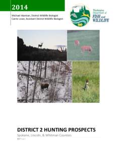 District 2 Hunting prospects