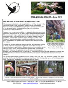 SEMI-ANNUAL REPORT – APRIL 2012 NEW BREEDING SEASON BRINGS NEW RESEARCH CAMP After six seasons of collecting demographic data on the Maui Parrotbill in the core of the species’ range, the State of Hawaii’s Hanawi N
