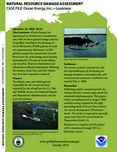 Oil spill / Petroleum / Plaquemines Parish /  Louisiana / Chemistry / Matter / Hazards / Ocean pollution