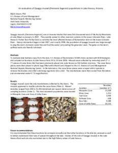 An evaluation of Quagga mussel (Dreissena bugensis) populations in Lake Havasu, Arizona    Mark Vinson, PhD  U.S. Bureau of Land Management  National Aquatic Monitoring Center  Utah State Unive