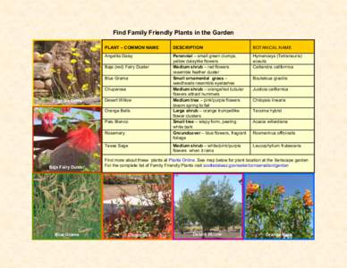 Find Family Friendly Plants in the Garden *Find out more about these plants LINK TO PLANTS BROCHURE/PUBLICATIONS PAGE/PLANT FINDER OR? PLANT – COMMON NAME  DESCRIPTION