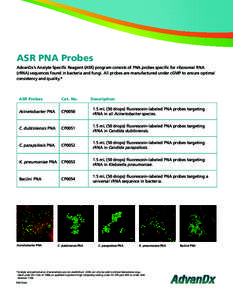 ASR PNA Probes AdvanDx’s Analyte Specific Reagent (ASR) program consists of PNA probes specific for ribosomal RNA (rRNA) sequences found in bacteria and fungi. All probes are manufactured under cGMP to ensure optimal c