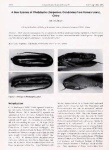 Rhabdophis / Hainan / Laticauda colubrina / Colubrids / Sea snakes / Herpetology