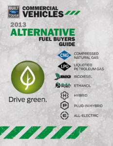 2013 Ford Alternative Fuel Buyers Guide