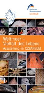 Weltmeer – Vielfalt des Lebens Ausstellung im OZEANEUM