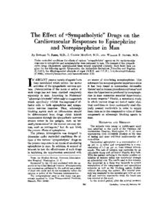 Catecholamines / Neurotransmitters / Imidazolines / Norepinephrine / Phentolamine / Phenylpropanolamine / Pheochromocytoma / Sympatholytic / Epinephrine / Medicine / Antihypertensive agents / Chemistry