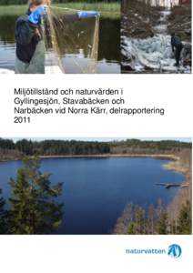 Miljötillstånd och naturvärden i Gyllingesjön, Stavabäcken och Narbäcken vid Norra Kärr, delrapportering 2011  Miljötillstånd och naturvärden i Gyllingesjön, Stavabäcken och Narbäcken vid Norra Kärr,