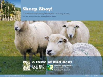 Sheep Ahoy! An invitation to explore Romney Marsh by bike – discovering churches, inns and where to buy the famous Romney Lamb. a taste of Mid Kent ©