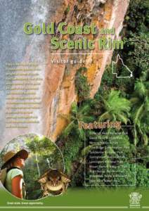 Gold Coast and Scenic Rim visitor guide