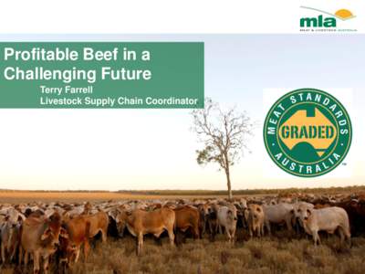 Profitable Beef in a Challenging Future Terry Farrell Livestock Supply Chain Coordinator  Agenda