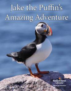 Jake the Puffin’s Amazing Adventure 1  Published by the Department of Fisheries and Aquaculture