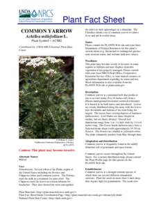 Plant Fact Sheet COMMON YARROW Achillea millefollium L. Plant Symbol = ACMI2 Contributed by: USDA NRCS National Plant Data Center