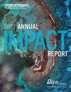 ANNUAL  IMPACT REPORT  Dive into...