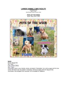 LAREDO ANIMAL CARE FACILITY 5202 MAHER AVEOpen Monday-Friday from 8am to 5pm  PETS OF THE WEEK
