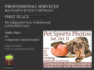 PROFESSIONAL SERVICES Best Overall in the Under 7,500 Division FIRST PLACE The Independent Voice of Blythewood and Fairfield County