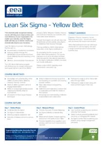 Lean Six Sigma - Yellow Belt This internationally recognised training course will help you to improve time and cost efficiency of your organisation. No matter your industry, Lean Six Sigma (LSS) will help you to deliver 