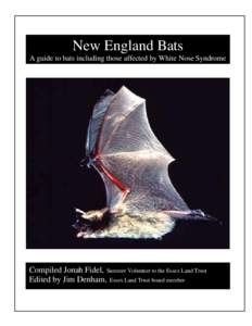 New England Bats A guide to bats including those affected by White Nose Syndrome Compiled Jonah Fidel, Summer Volunteer to the Essex Land Trust Edited by Jim Denham, Essex Land Trust board member