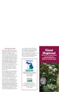 Prevention and Control If you suspect Giant Hogweed is on your property, please call the MDA Hotline and describe the plant so our staff can verify its identity. If the plant is Giant Hogweed, we will make arrangements t