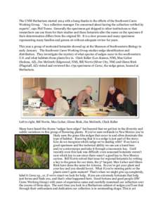 The UNM Herbarium started 2014 with a bang thanks to the efforts of the Southwest Carex Working Group. “As a collection manager I’m concerned about having the collection verified by experts”, says Phil Tonne. Gener