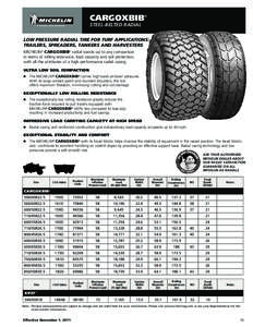 CARGOXBIB  ® STEEL-BELTED RADIAL