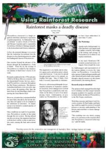 Rainforest masks a deadly disease by Diane Daly May 1998 Phytophthora cinnamomi is a fungal organism which has a destructive reputation of global proportions. It is blamed for “forest dieback” in native forests of Vi