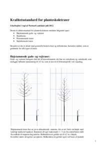 Kvalitetsstandard for planteskoletræer Udarbejdet i regi af PartnerLandskab juliDenne kvalitetsstandard for planteskoletræer omfatter følgende typer: • Højstammede gade- og vejtræer • Stambuske • Flerst
