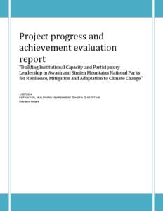 Project progress and achievement evaluation report