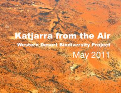 Katjarra from the Air Western Desert Biodiversity Project May 2011  Aerial Burning