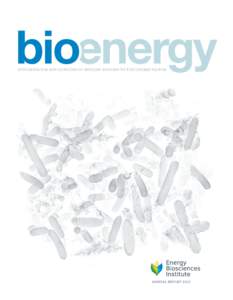 Exploring the Applications of Modern Biology to the Energy Sector  ANNUAL REPORT 2013 B