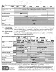 2014  Adult Immunization Schedule in black and white - United States