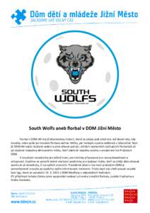 South Wolfs aneb florbal v DDM Jižní Město Florbal v DDM JM má již dlouholetou historii, která se začala psát před více než deseti lety, kdy kroužky, nebo spíše jen kroužek florbalu začínal. Míčky, pá
