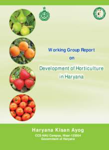 Working Group Report on Development of Horticulture in Haryana