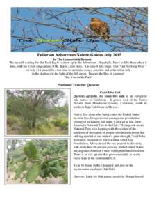 Fullerton Arboretum Nature Guides July 2015 In The Cement with Bement We are still waiting for that Bald Eagle to show up in the Arboretum. Hopefully, Steve will be there when it does, with his 6 foot long camera (OK, th