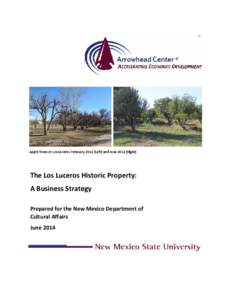The Los Luceros Historic Property: A Business Strategy Prepared for the New Mexico Department of Cultural Affairs June 2014