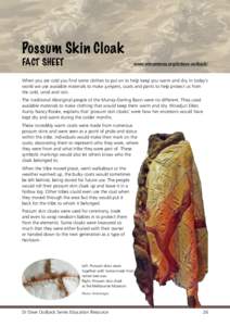 Dr Dave Outback Series - Possum Skin Cloak