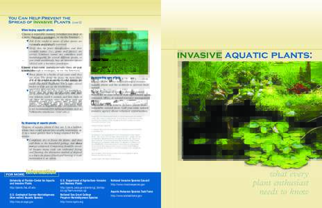 You Can Help Prevent the Spread of Invasive Plants (cont’d) for more  By expanding your efforts.
