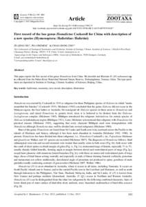 First record of the bee genus Homalictus Cockerell for China with description of a new species (Hymenoptera: Halictidae: Halictini)