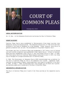 State court / Law / New York Court of Common Pleas / Ohio Courts of Common Pleas / Superior court / Pennsylvania Courts of Common Pleas / Court of Common Pleas / Delaware Court of Common Pleas / Unified Judicial System of Pennsylvania / State governments of the United States / New York state courts / Government