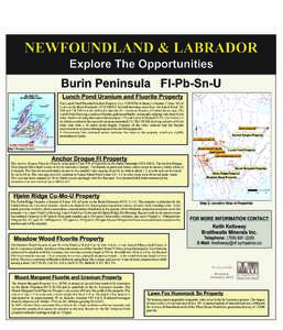 NEWFOUNDLAND & LABRADOR Explore The Opportunities Burin Peninsula Fl-Pb-Sn-U Lunch Pond Uranium and Fluorite Property